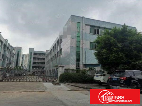 横沥镇三江工业区新出一楼带牛角及办公室标准厂房