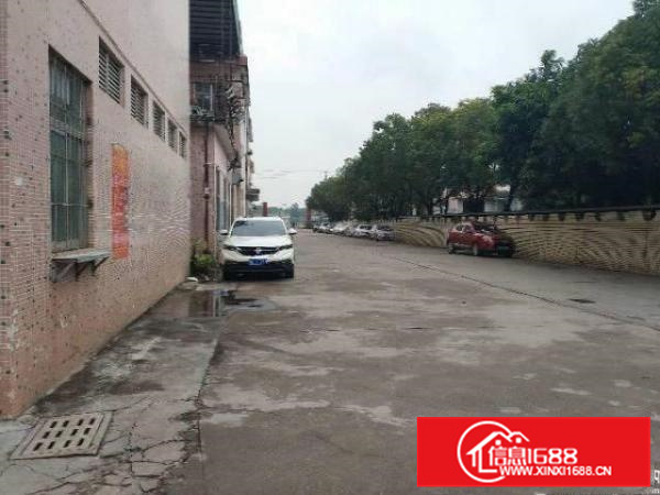 惠州仲恺区原房东一楼标准厂房出租带豪华装修