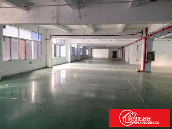 黄江田美社区独院楼上全新厂房1000平米原房东出租