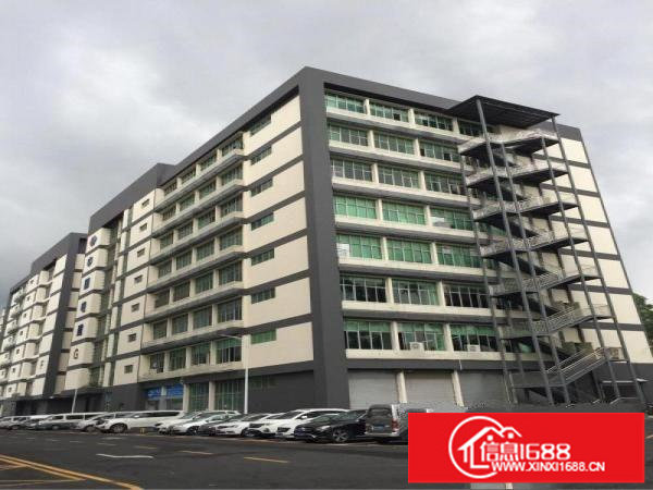 实用率高五和南坑光雅园办公厂房200至2000平