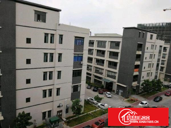 东坑部快线路口3分钟仓库3000平米