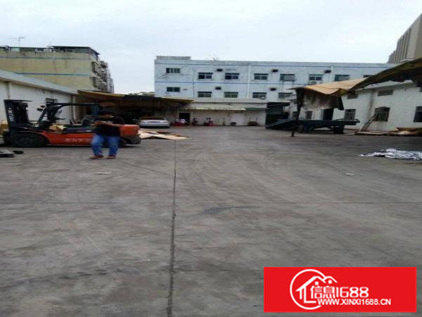 龙岗新出2500平米独院钢构厂房