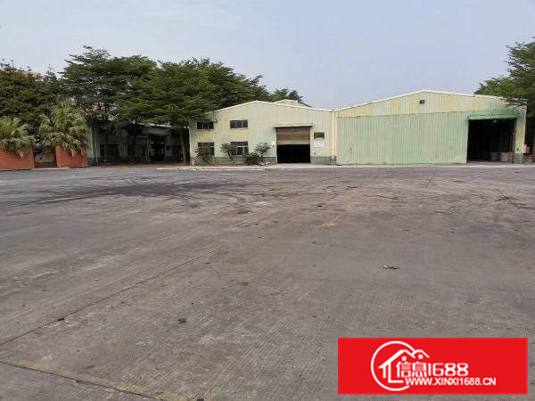 横沥镇原房东低价滴水12米钢构厂房出租