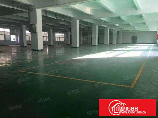 坑梓原房东红本厂房2100平出租三楼简装修可分租花园式厂房