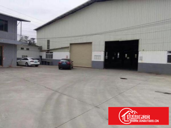 万江独院单一层钢构厂房2300平方滴水8米空地超大出租