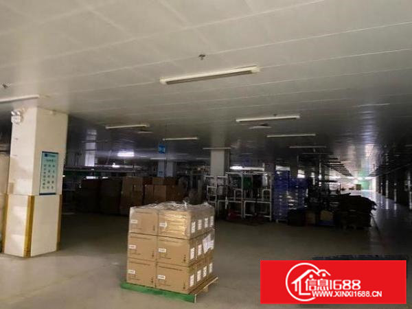 位置好，形象佳，拎包使用