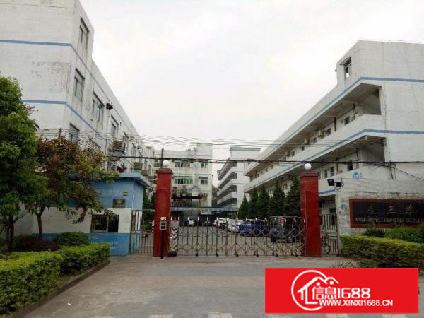 坪山区坑梓秀新第三工业区标准一楼厂房1100平方可分租