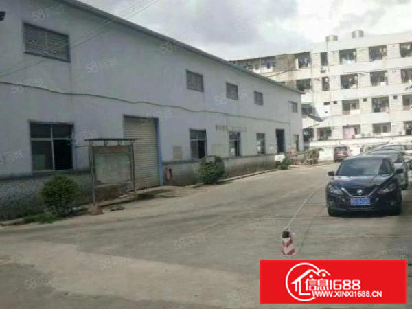 竹塘工业区新出独栋钢结构厂房，2000平方，八米高