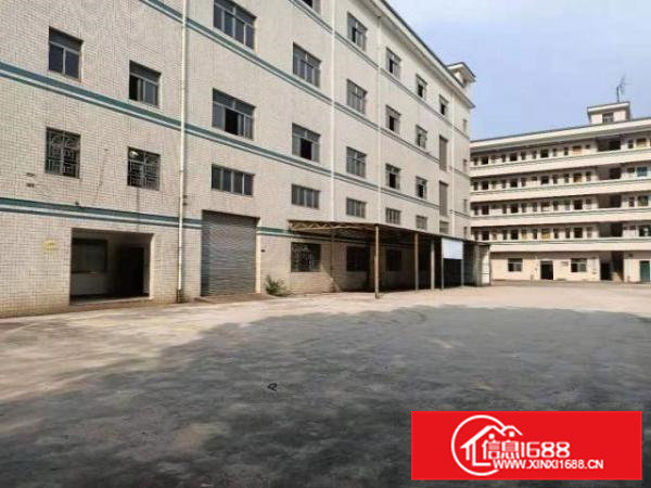 凤岗带现成行车6米高塑胶模具五金注塑厂房一楼1600平方