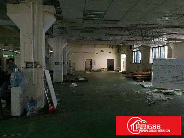 塘厦石马全新独门独院厂房一楼900平方高6米有牛角