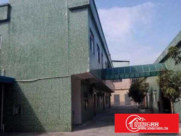 万江黄粘洲原房东独门独院单层铁皮房2300方厂房出租