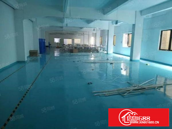 塘厦石潭布标准2楼一整层1300平方！大气前台！蓝色地坪漆！