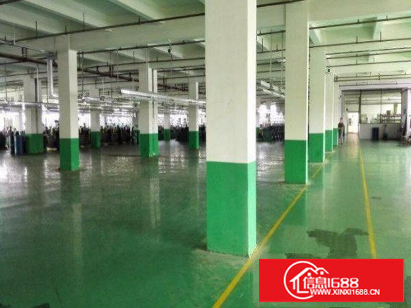 沙湖挨观澜4000平米超优质二层独院厂房，可分租