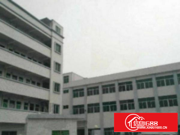 万江标准1500平方800或1000㎡出租