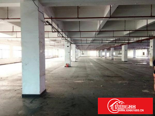 高埗镇大型工业园原房东分租二楼整层3300平有喷淋