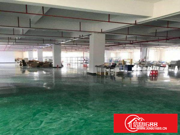 连平村空出原房东独门独院1~3层4000平厂房出租可办环坪