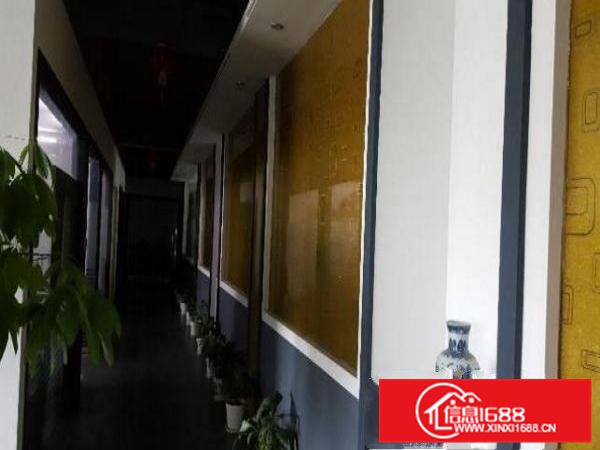 惠州新圩新出独院厂房8000平方,带精装修办公室