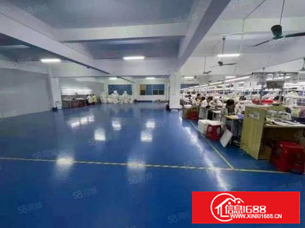 长安沿江高速出口原房东标准厂房1500平厂房出租可分租