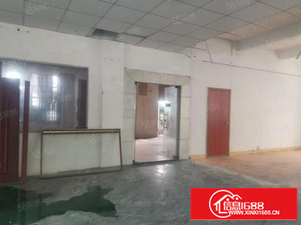 茶山新经5000平典独门独可分租院靠石大路边上价格实惠