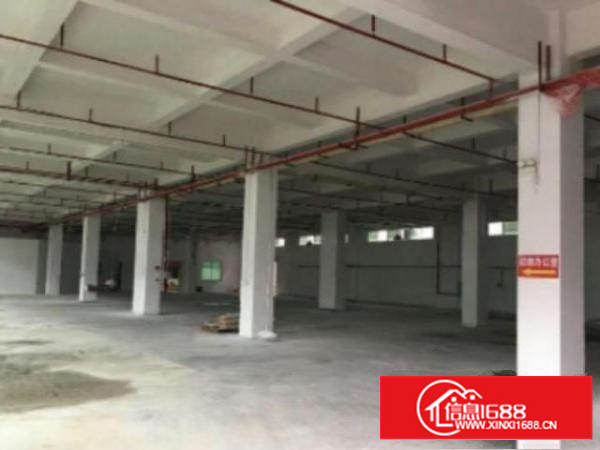 万江流涌尾工业区标准一楼1400平方招租水电齐全