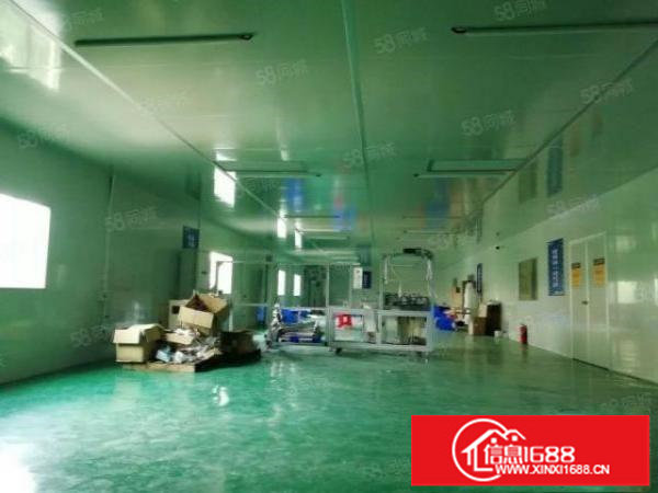 无尘车间厂房出租龙岗中心城厂房招租十万级无尘车间550平