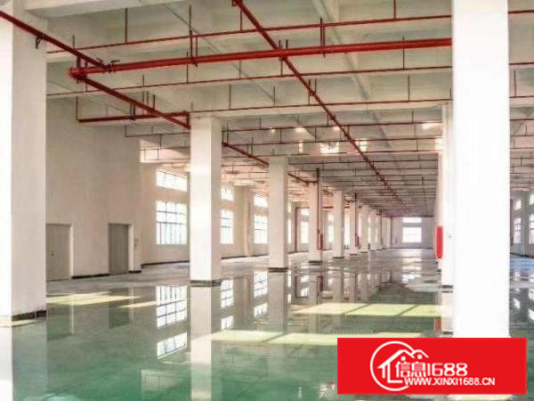 东莞企石原房东独院标准带办公楼6米高12000平方厂房出租