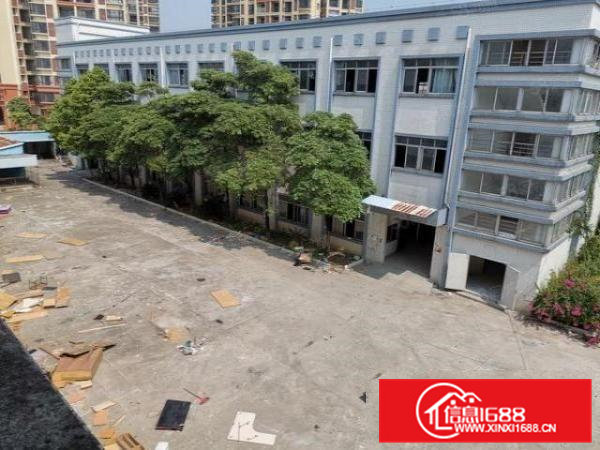 茶山原房东独门独院厂房4500平方出租15元可谈