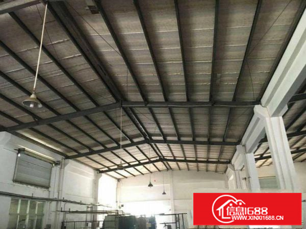 《镇隆皇后村》十米高钢构1700平方，招租！工业区