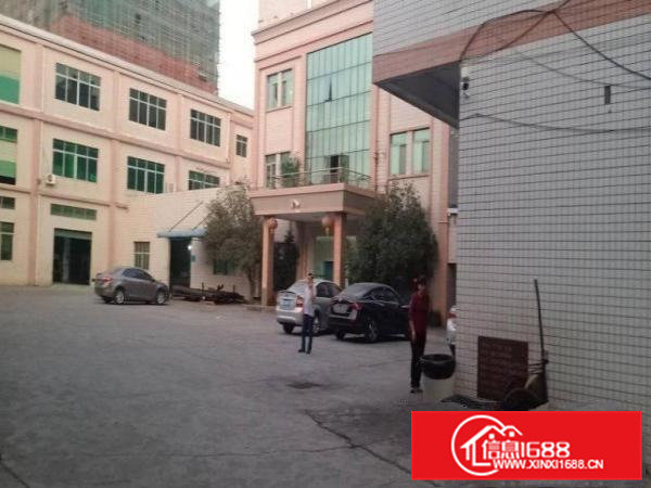 大朗原房东独门独院标准厂房