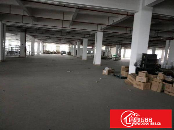 独院标准厂房出租共6000平方