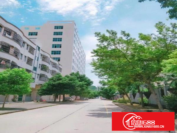 一楼2100平，带牛角