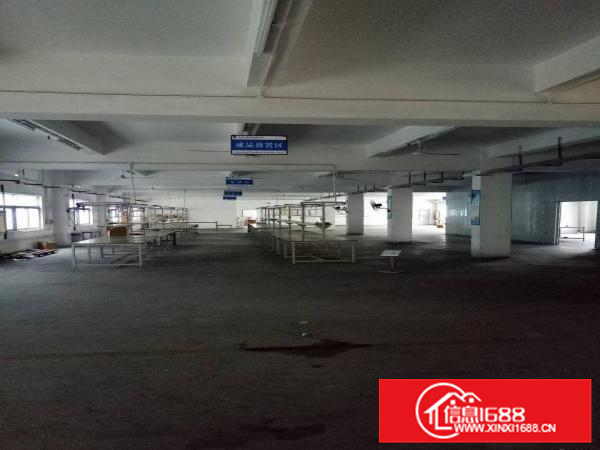 惠阳新圩新出独院厂房6100平方招租