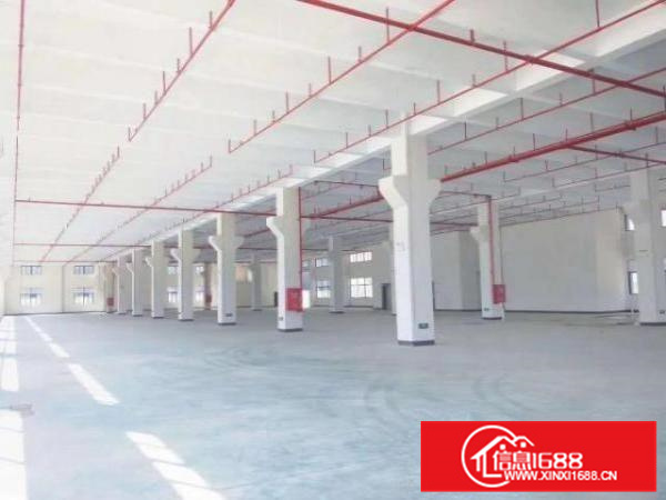 标准新建厂房放租，伦教工业区，一楼9米高，大小可租