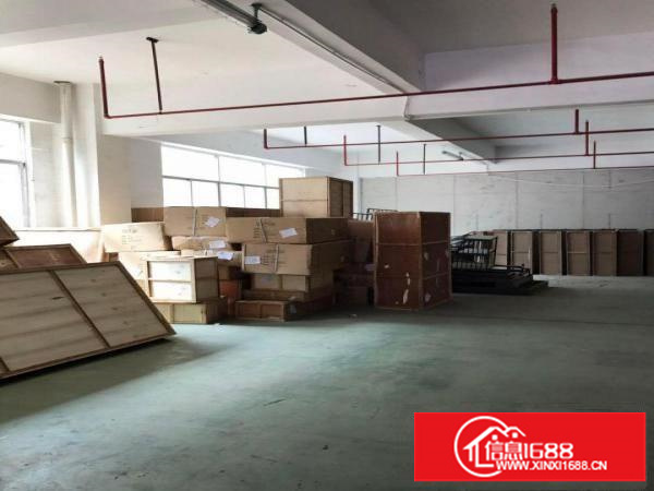 300平带平台/货梯空地大，已隔好！可短租