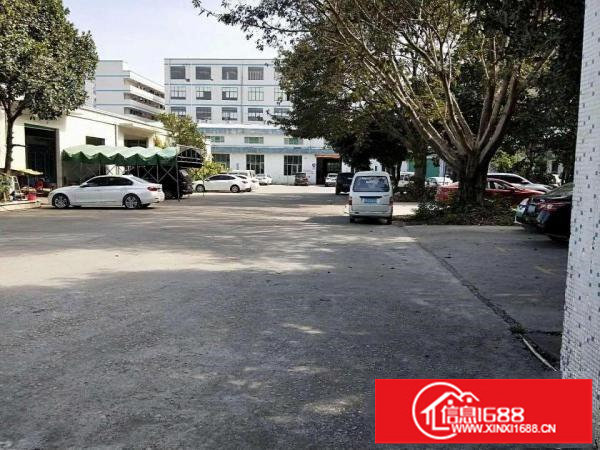 龙岗南约广场附近新出滴水9米钢构1500平方打包25带走