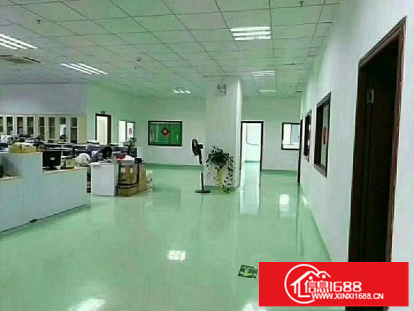 横岗六约楼上厂房850平1250平带精装修19元