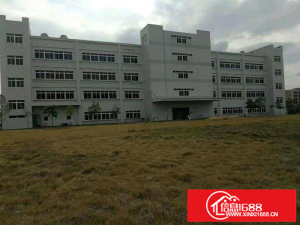 坪山原房东无公摊独院厂房招租