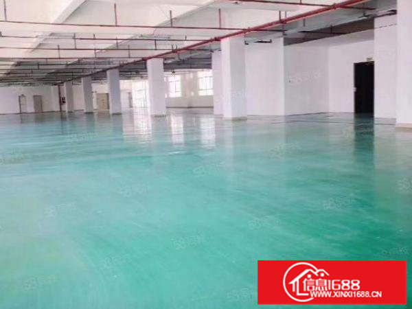 深圳市龙岗区平湖白泥坑海吉星独门独院厂房招租面积3000平米