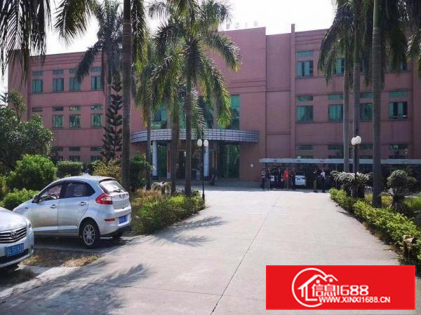 常平镇（新出厂房独门独院）4层楼共10000平可分租