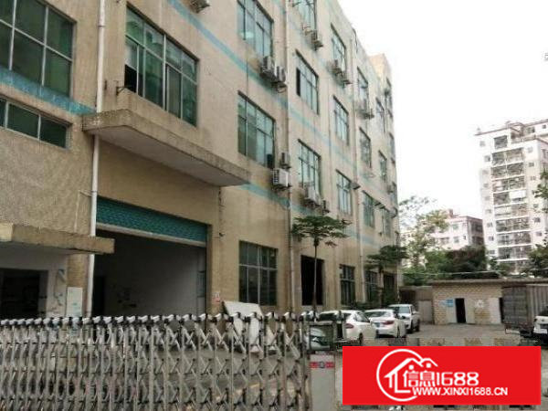 一楼正规厂房原房东招租