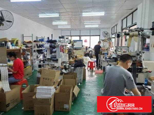 实拍沙井大王山楼上150平带装修厂房出租