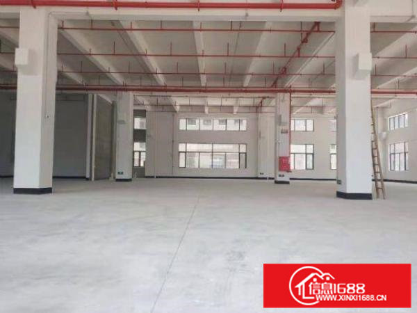 带装修急租大朗沙步一楼1500平方厂房大小可分租