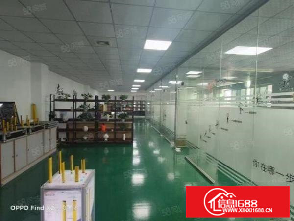 黄江镇高速出口原房东经典小独院3680平方带带装修可分层租