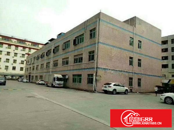 龙岗原房东标准厂房1楼1280平米5米高出租