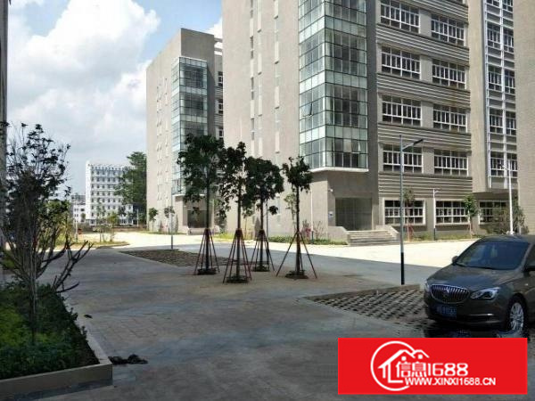 惠阳秋长原房东厂房55000平方出租