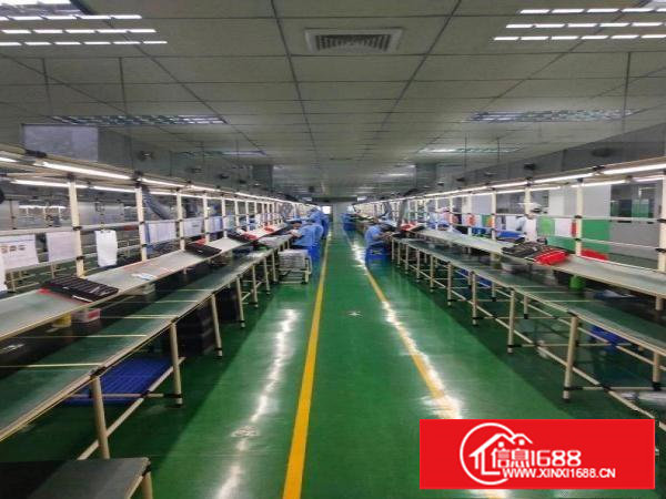 樟木头新出200-1300平出租可分租带精装修水电到位