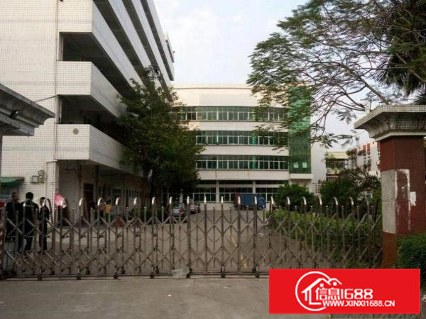 横沥半仙山新出标准一楼和楼上700平米带装修出租