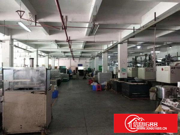 石排镇工业区新空出标准独门独院7800平方厂房出租