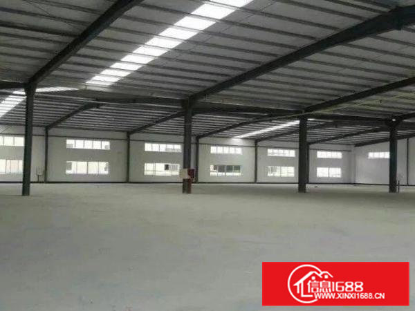 石排新出独门独院单一层钢构厂房