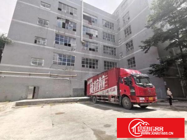 出租！坂田五和地铁口独院厂房楼上1350平精装修可办公